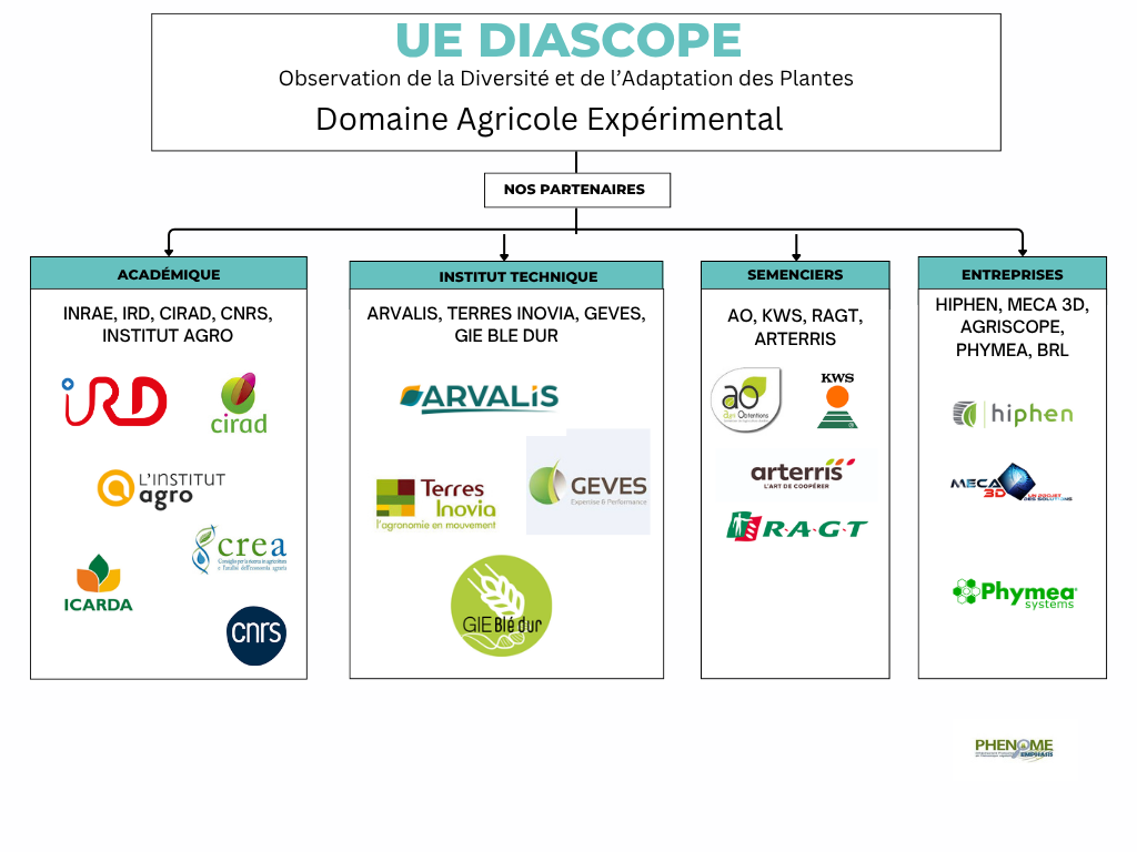 Partenaires