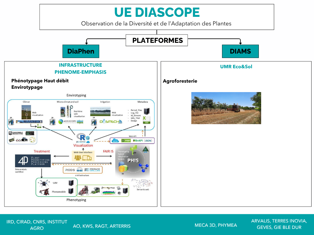 Plateformes