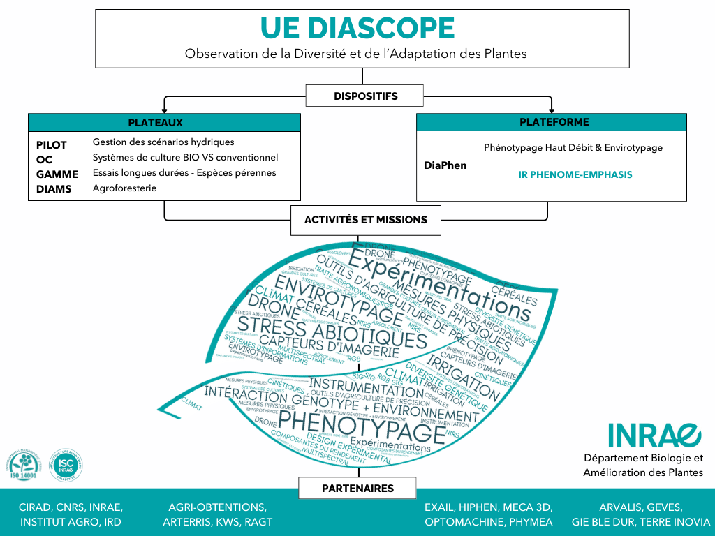 Graphique UE DIASCOPE-version-finale-2.png