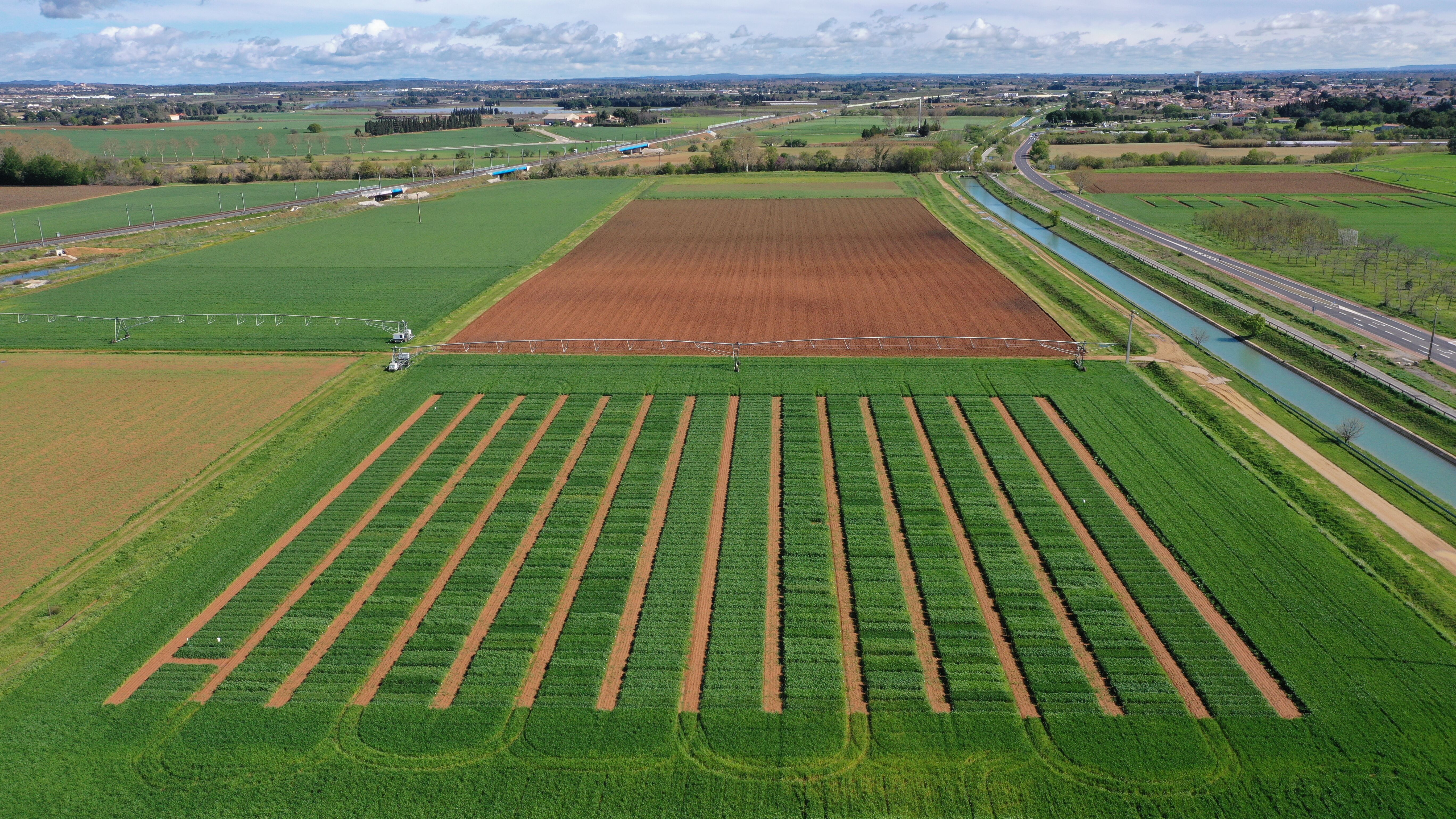Groupe C&eacute;r&eacute;ales