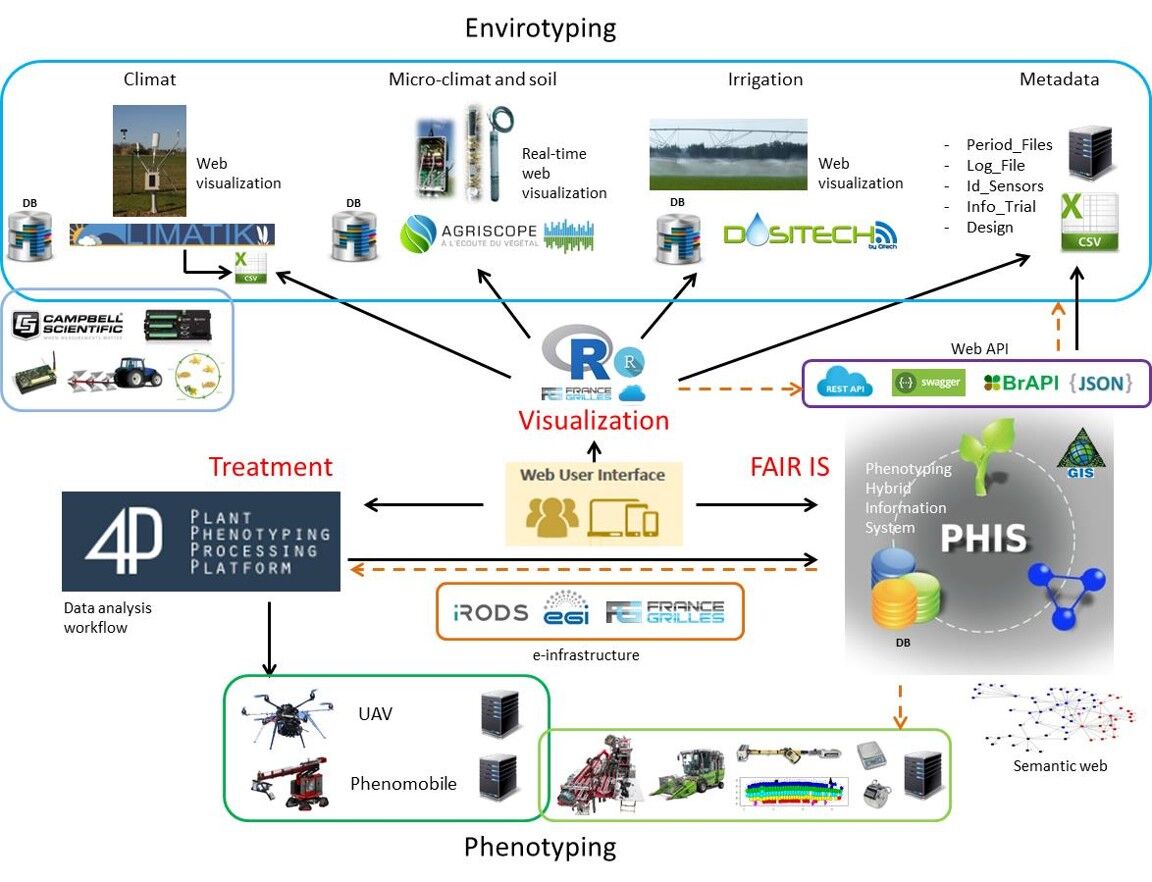 DIAPHEN.jpg DIAPHEN.jpg