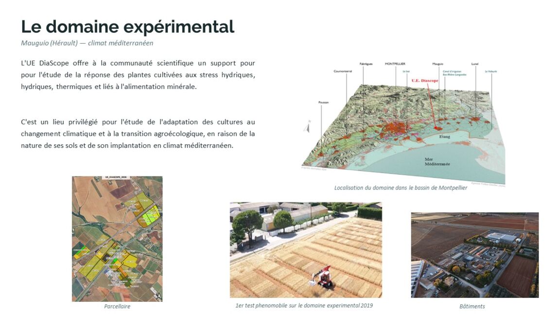 ppt_florence_ue_domaine1.jpg